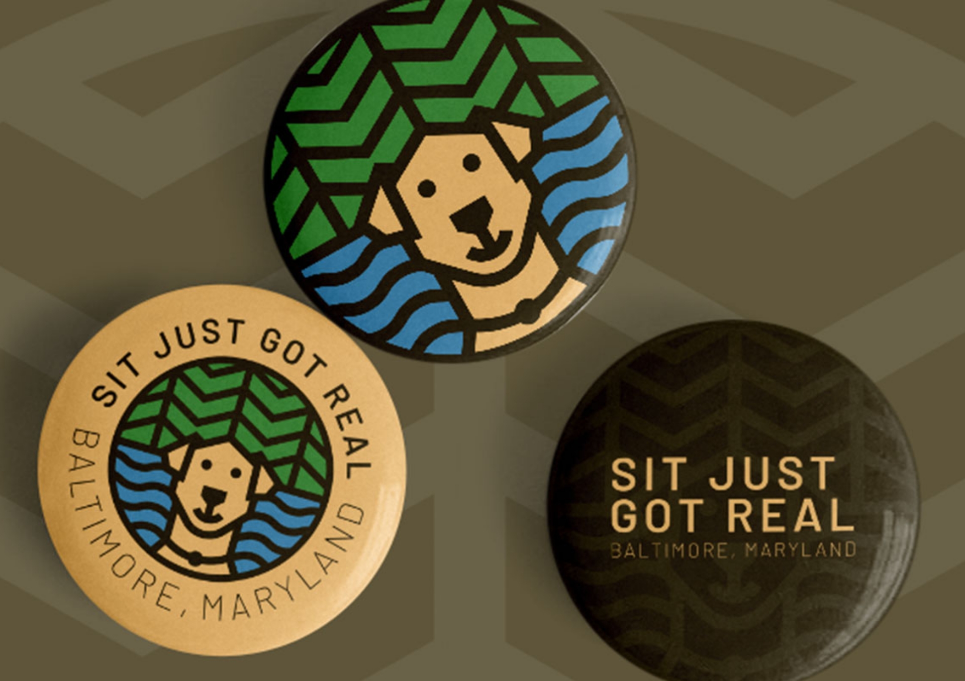 SJGR-Pins